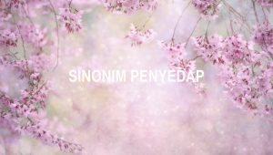 Sinonim Penyedap