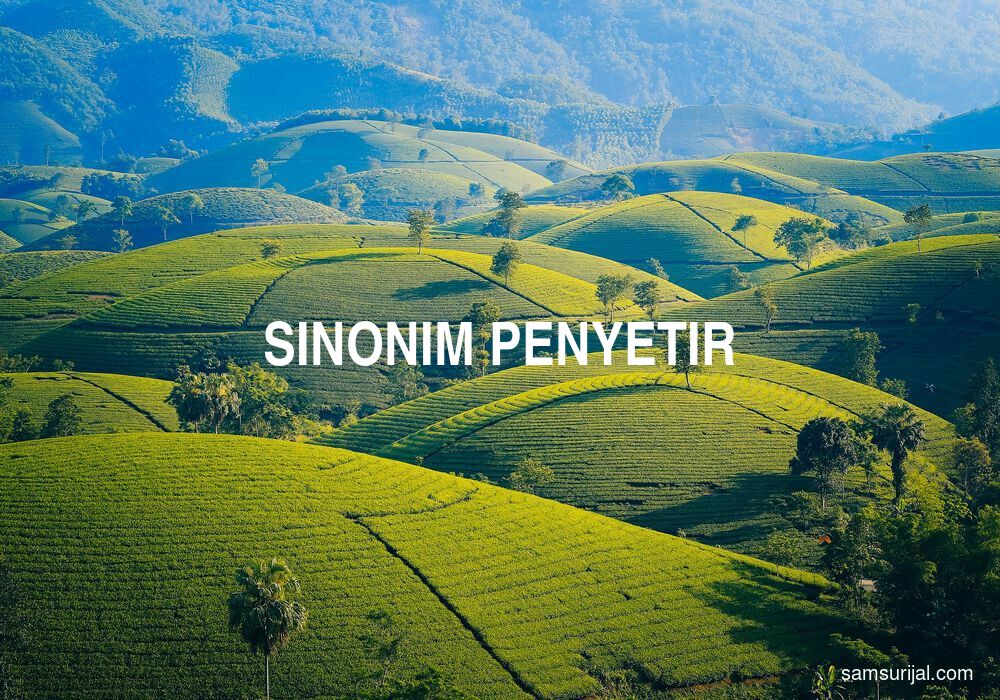 Sinonim Penyetir