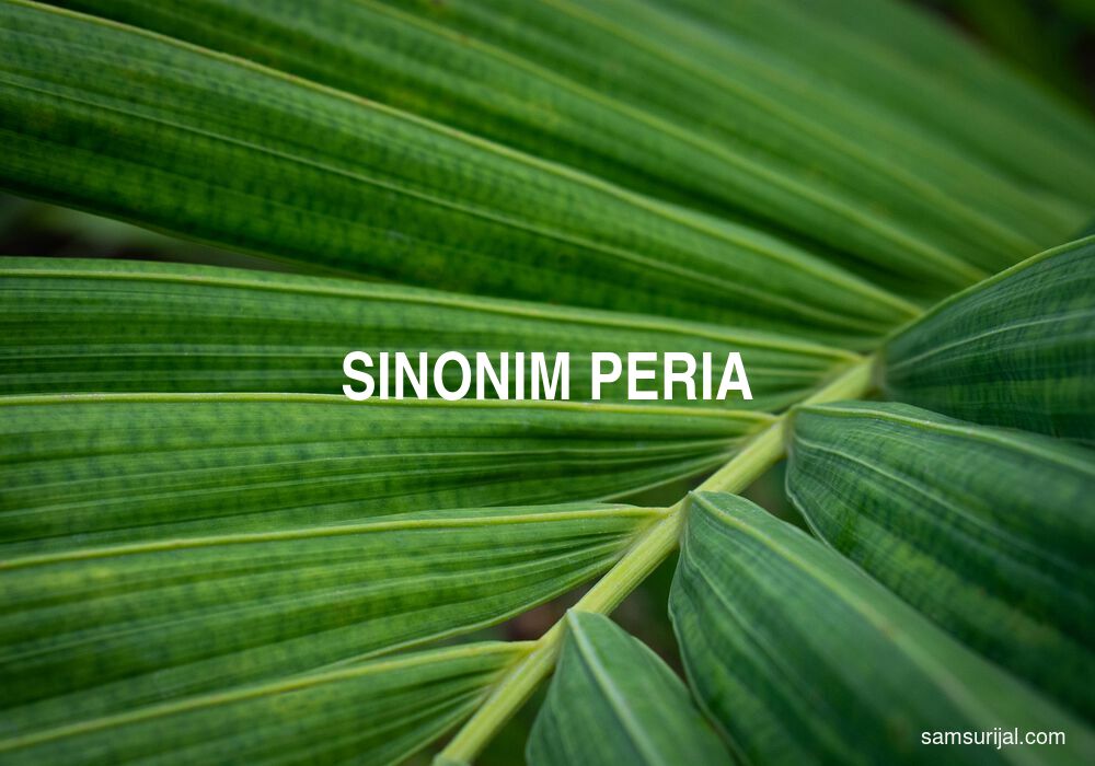 Sinonim Peria