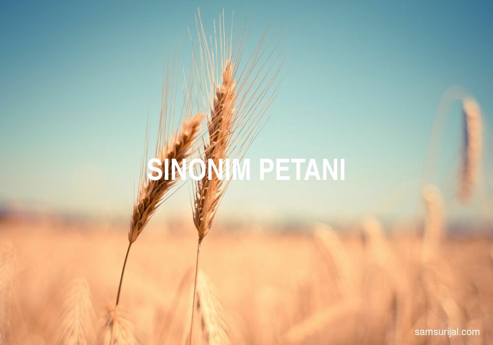 Sinonim Petani