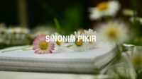 Sinonim Pikir