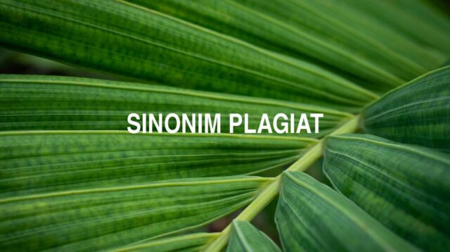 Sinonim Plagiat