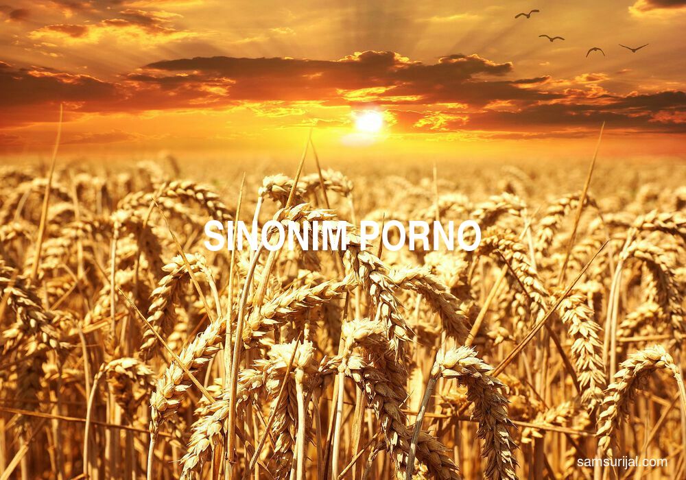 Sinonim Porno