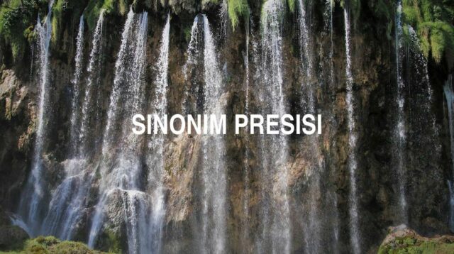 Sinonim Presisi