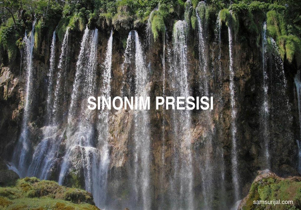 Sinonim Presisi