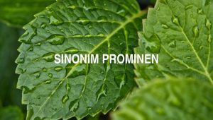 Sinonim Prominen