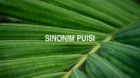 Sinonim Puisi