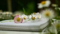 Sinonim Puru