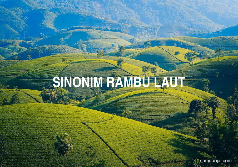 Sinonim Rambu Laut