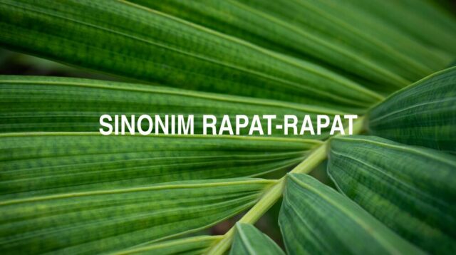 Sinonim Rapat Rapat