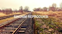 Sinonim Reproduksi