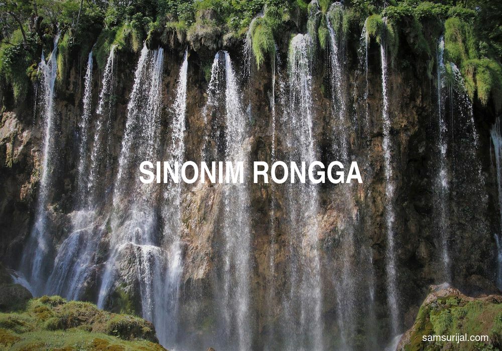 Sinonim Rongga