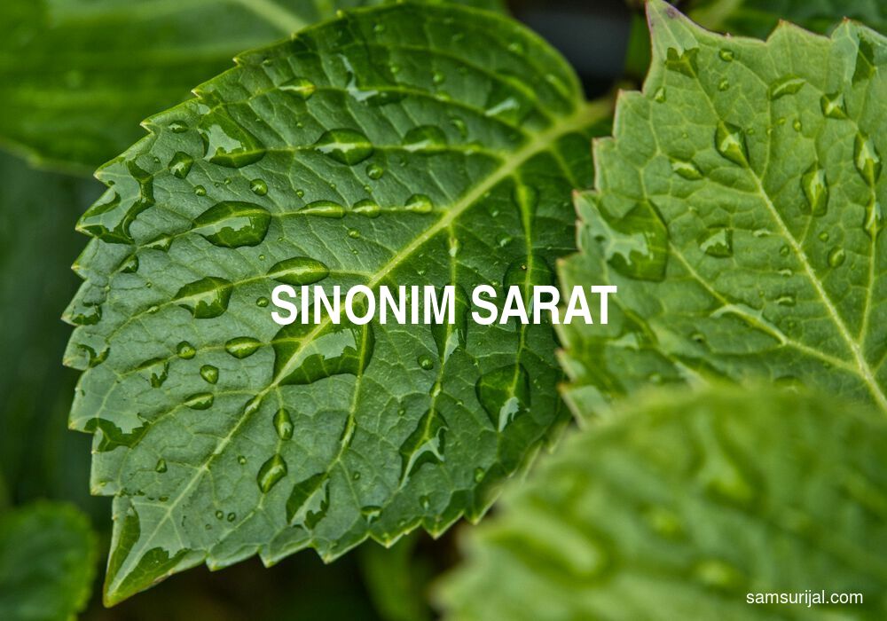 Sinonim Sarat