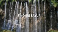 Sinonim Sayup