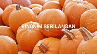 Sinonim Sebilangan