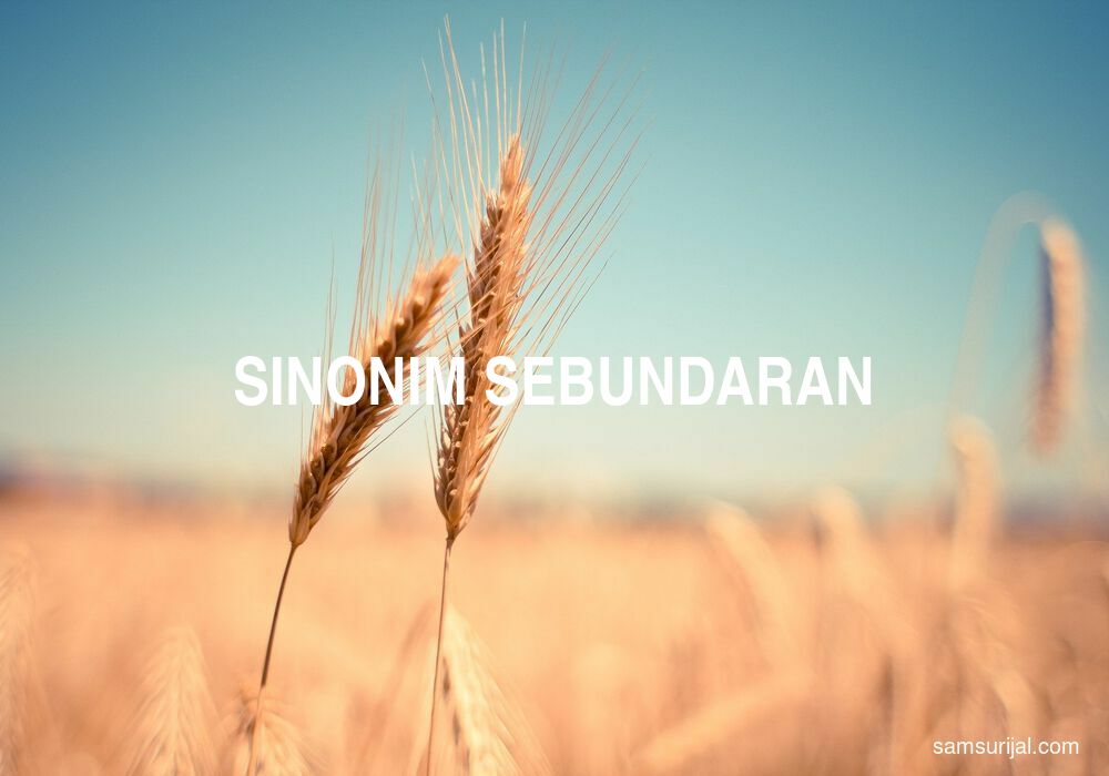 Sinonim Sebundaran
