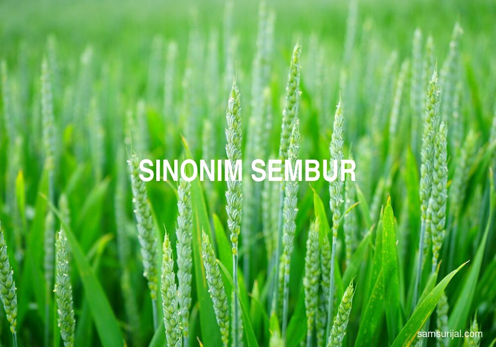 Sinonim Sembur