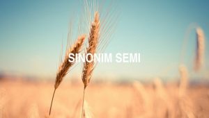 Sinonim Semi