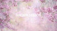 Sinonim Sensor