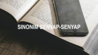 Sinonim Senyap-Senyap