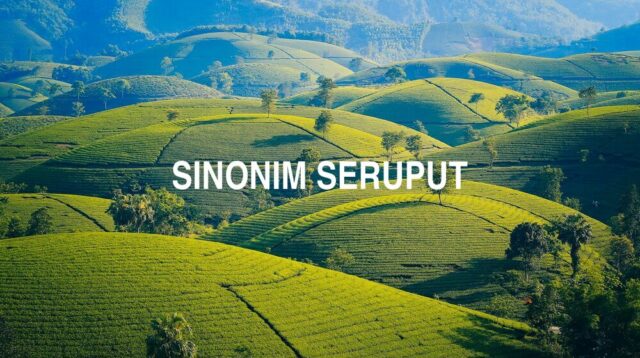 Sinonim Seruput