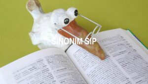 Sinonim Sip