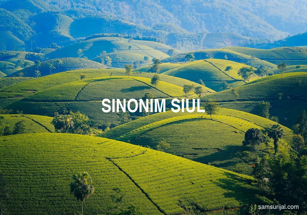 Sinonim Siul