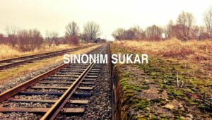 Sinonim Sukar