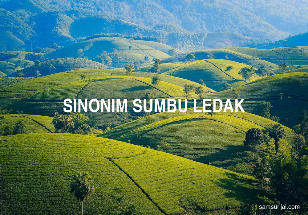 Sinonim Sumbu Ledak