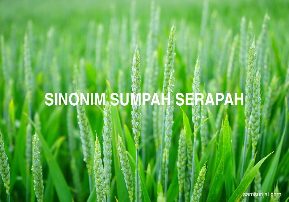 Sinonim Sumpah Serapah