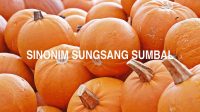 Sinonim Sungsang Sumbal