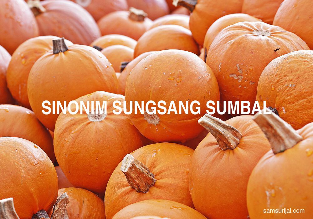 Sinonim Sungsang Sumbal