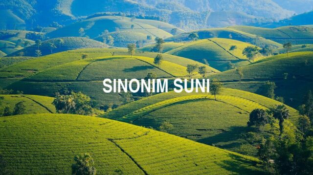 Sinonim Suni