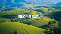 Sinonim Suruh