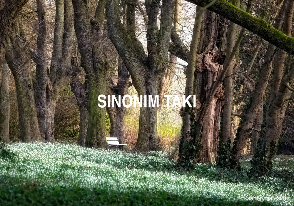 Sinonim Taki