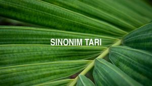 Sinonim Tari