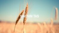 Sinonim Tas