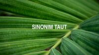 Sinonim Taut