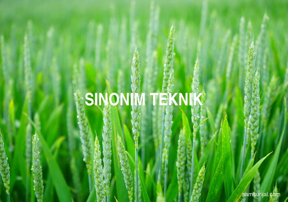 Sinonim Teknik