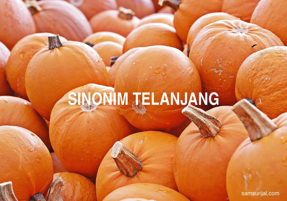 Sinonim Telanjang