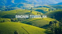 Sinonim Tembelan