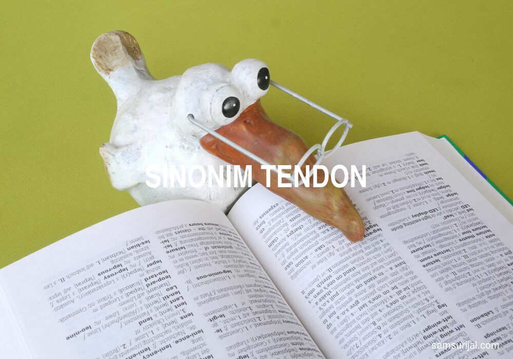 Sinonim Tendon