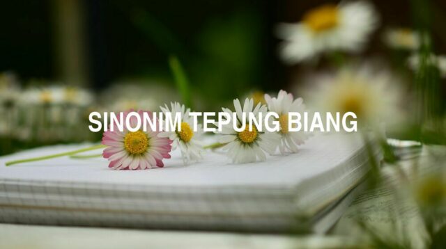 Sinonim Tepung Biang