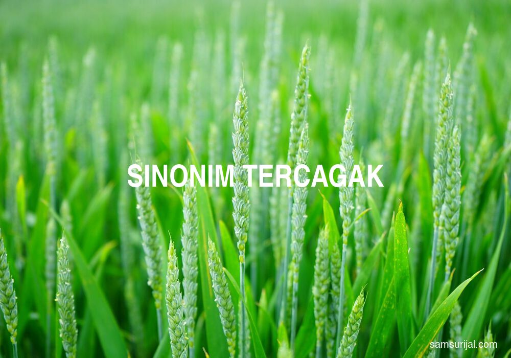 Sinonim Tercagak