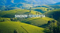 Sinonim Terderita