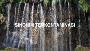 Sinonim Terkontaminasi
