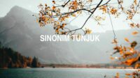 Sinonim Tunjuk