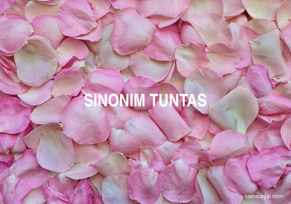 Sinonim Tuntas