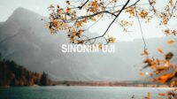 Sinonim Uji