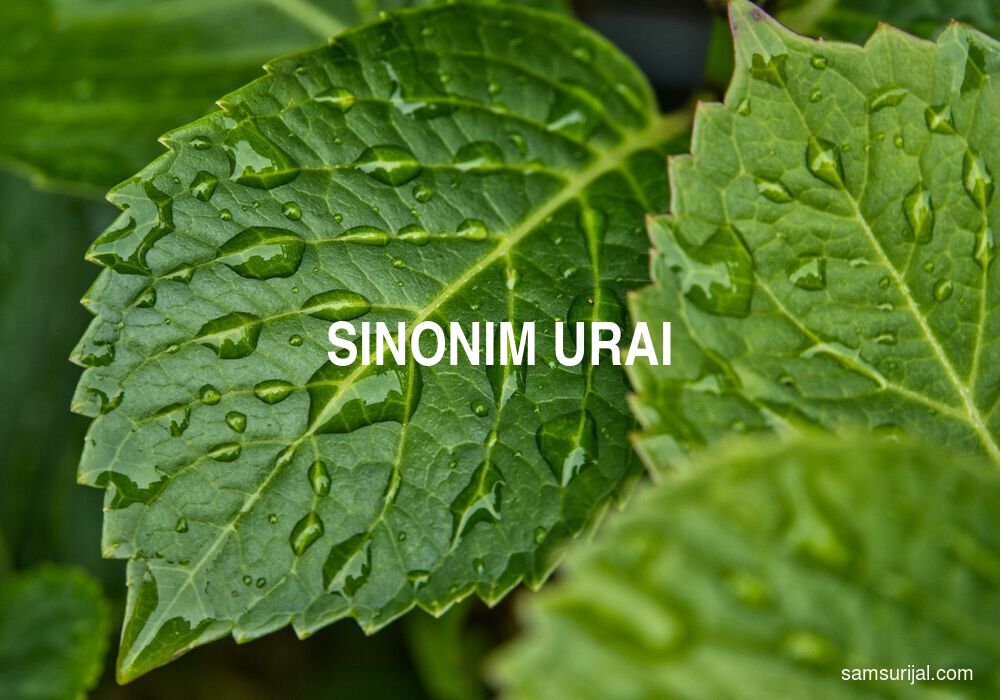 Sinonim Urai